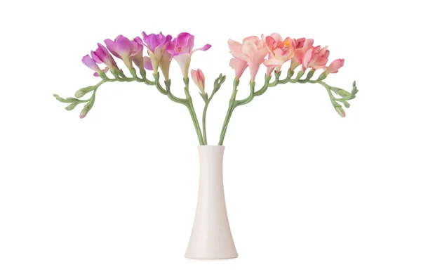 Vas med orkidé blomma isolerad på vit — Stockfoto