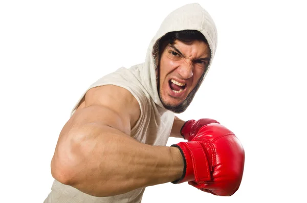 Концепция бокса с молодым спортсменом — стоковое фото