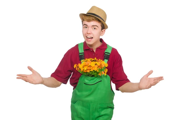 Young gardener with flower isolated on white — Stock Photo, Image