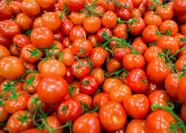 Tomatoes on the supermarket — Stock Photo, Image