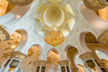 Sheikh zayed Camisi