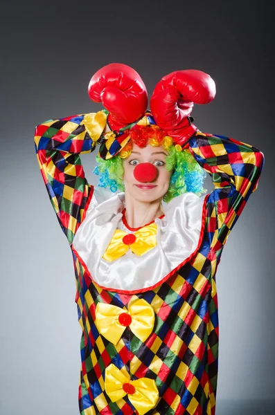 Funny clown with boxing gloves — Stock Photo, Image