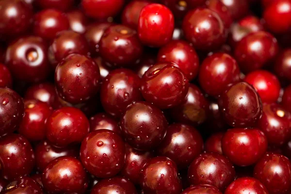 Background of many cherry berries — Stock Photo, Image