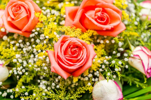 Belas rosas no conceito de celebração — Fotografia de Stock