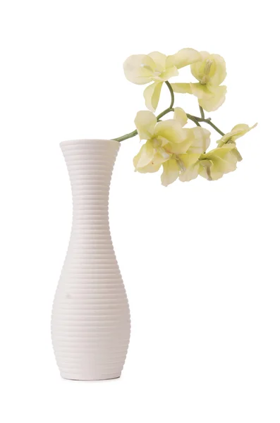 Βάζο με ορχιδέα λουλούδι που απομονώνονται σε λευκό — Φωτογραφία Αρχείου