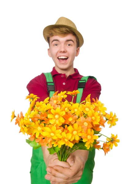 Jardinero joven con flor aislada en blanco —  Fotos de Stock
