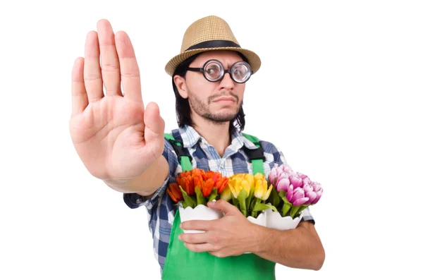 Jardineiro homem com flores em branco — Fotografia de Stock