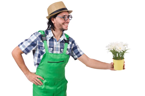 Man trädgårdsmästare med blommor på vit — Stockfoto