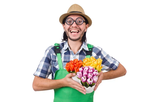 Man gardener with flowers on white — Stock Photo, Image
