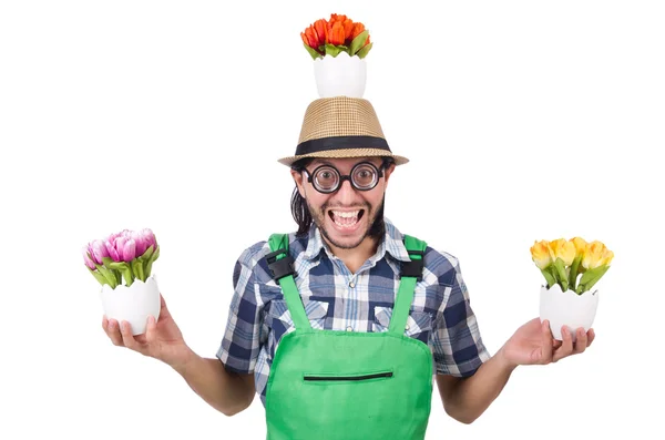 Man trädgårdsmästare med blommor på vit — Stockfoto