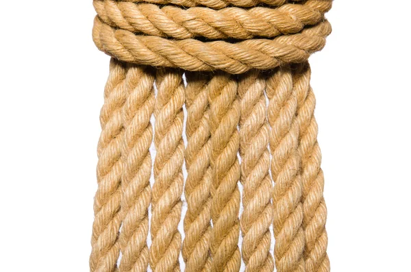 白い背景に孤立したロープ — ストック写真
