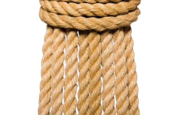 Rope isolated on the white background — Stock Photo, Image