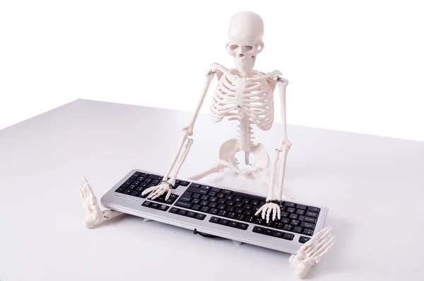 Grappige Skeleton werken op de computer — Stockfoto