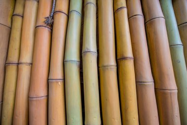 Arka plan bambu dalları yaptı