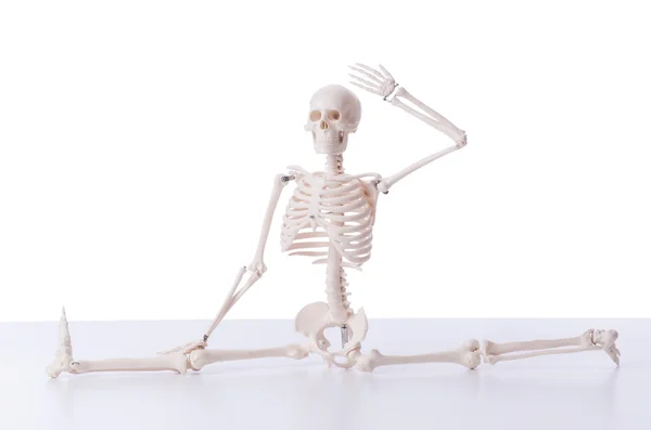 Funny skeleton isolated on white — Stock Photo, Image