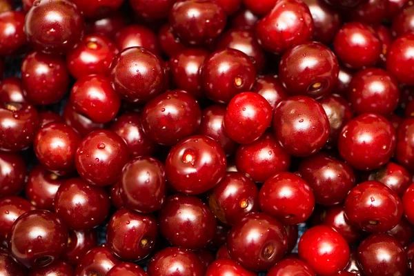 Background of many cherry berries — Stock Photo, Image