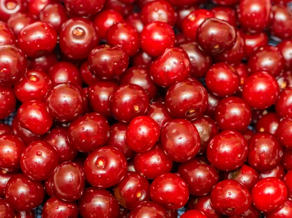 Background made of the cherries — Stock Photo, Image