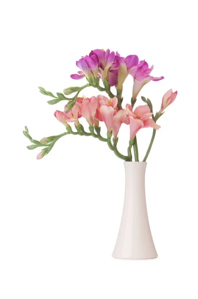 Vas med orkidé blomma isolerad på vit — Stockfoto