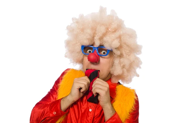 Grappige clown in leuk concept geïsoleerd op wit — Stockfoto