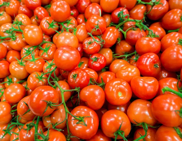 Tomatoes on the supermarket display — Stock Photo, Image