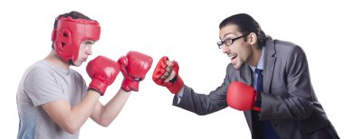 İki erkek Boxer