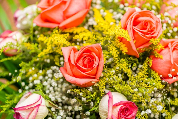 Bonitas rosas en concepto de celebración —  Fotos de Stock