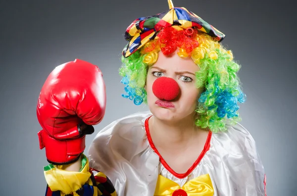 Funny clown with boxing gloves — Stock Photo, Image