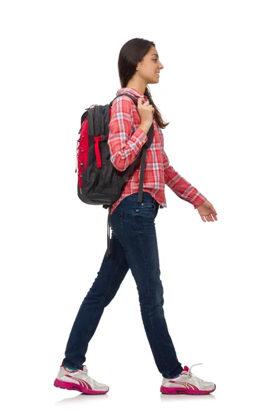 Joven estudiante aislado en blanco — Foto de Stock