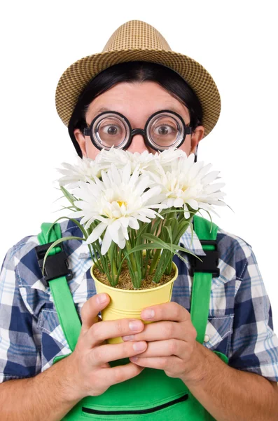 Man trädgårdsmästare med blommor på vit — Stockfoto