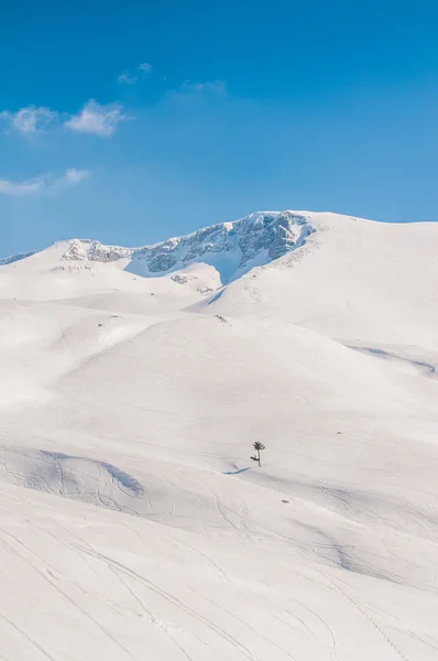 따사 로운 겨울날의 산들 — 스톡 사진