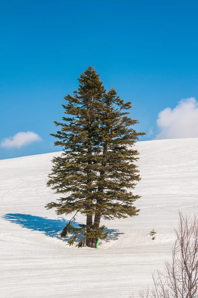 Зимние горы в яркий зимний день — стоковое фото