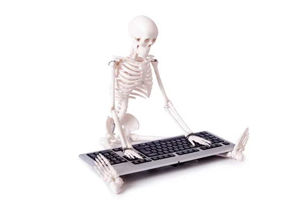 Grappige Skeleton werken op de computer — Stockfoto