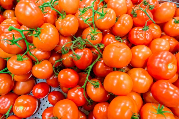 Tomates na exposição do supermercado — Fotografia de Stock