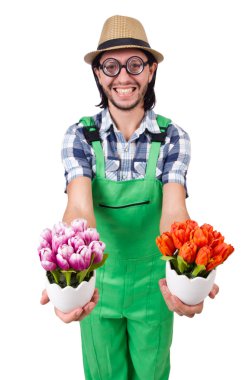 Beyaz çiçekli bahçıvan.