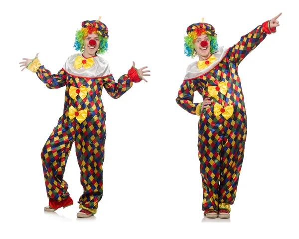 Set van clown foto 's geïsoleerd op wit — Stockfoto