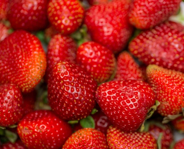 Erdbeeren auf der Auslage arrangiert — Stockfoto