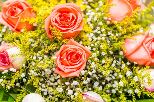 Belas rosas no conceito de celebração — Fotografia de Stock