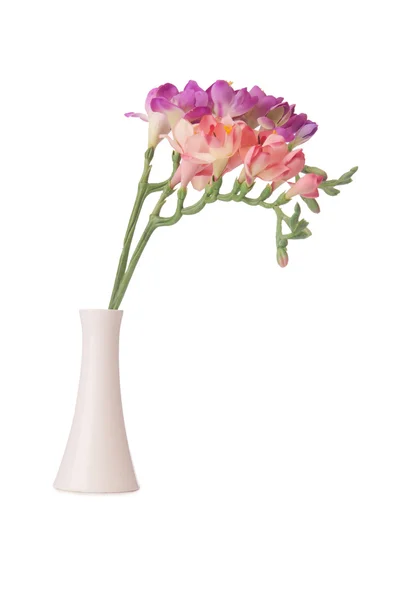 Vaso com flor de orquídea isolada em branco — Fotografia de Stock