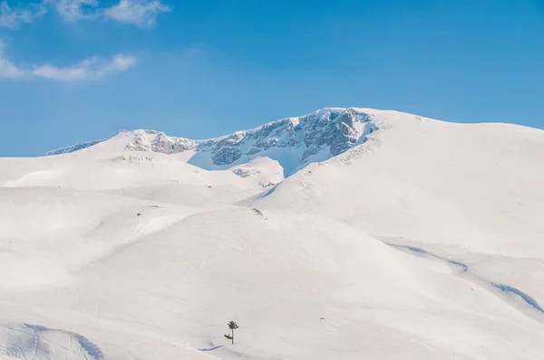 Zimowe góry w pogodny zimowy dzień — Zdjęcie stockowe