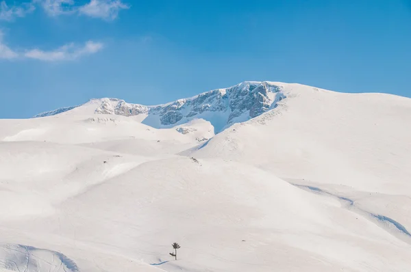 Winterberge an einem strahlenden Wintertag — Stockfoto