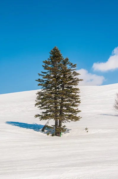 Winterberge an einem strahlenden Wintertag — Stockfoto