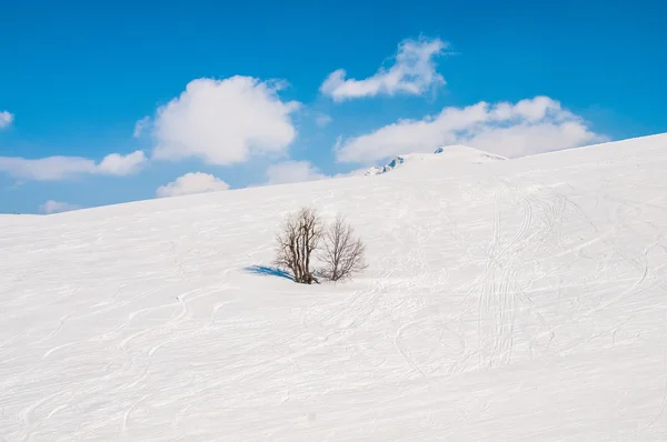 Χειμερινά βουνά σε φωτεινή χειμωνιάτικη ημέρα — Φωτογραφία Αρχείου