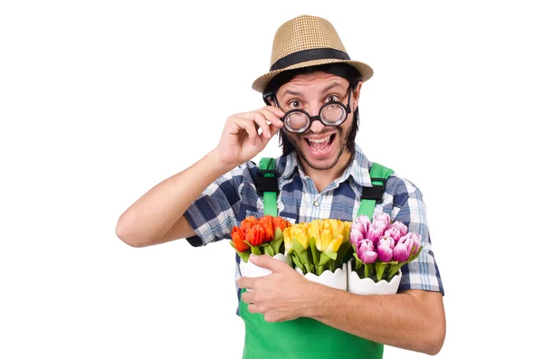 Человек садовник с цветами на белом — стоковое фото