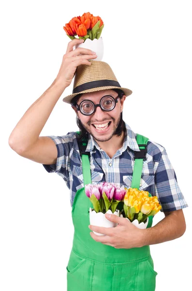 Jardineiro homem com flores em branco — Fotografia de Stock