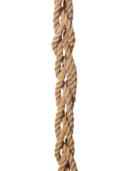 Rope isolated on the white background — Stock Photo, Image