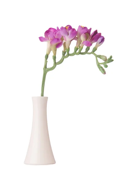 Vase mit Orchideenblüte isoliert auf weiß — Stockfoto