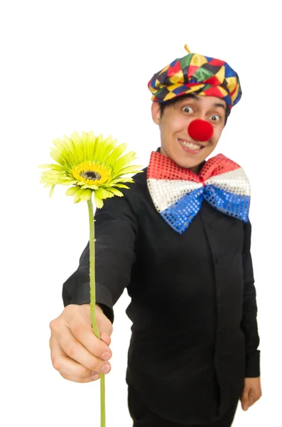 Buffo clown isolato su bianco — Foto Stock