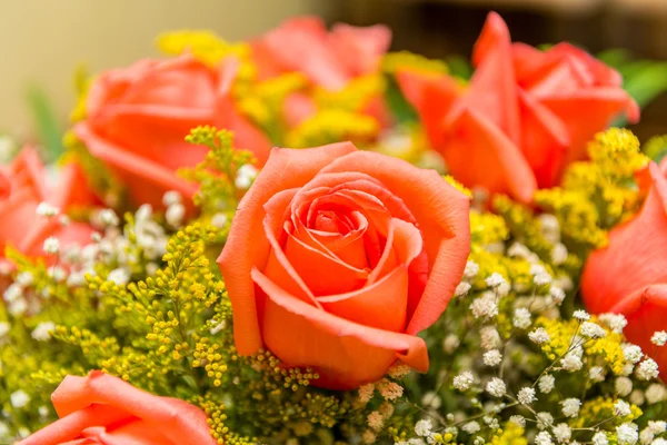 Bonitas rosas en concepto de celebración —  Fotos de Stock