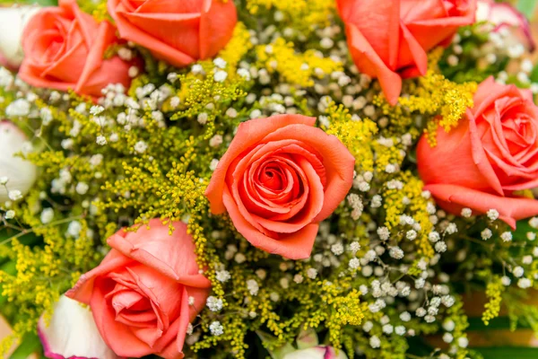 Belas rosas no conceito de celebração — Fotografia de Stock