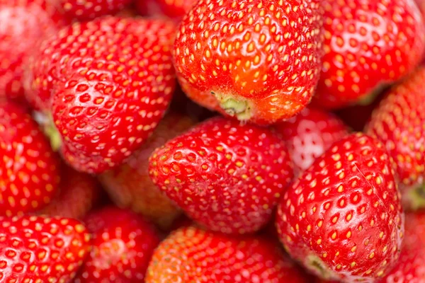 Fresas dispuestas en la pantalla —  Fotos de Stock